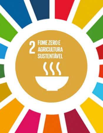 Ícone do ODS 2 – Fome Zero e Agricultura Sustentável, representado por um prato com vapor ao centro de um círculo dourado, cercado pelas cores dos Objetivos de Desenvolvimento Sustentável.
