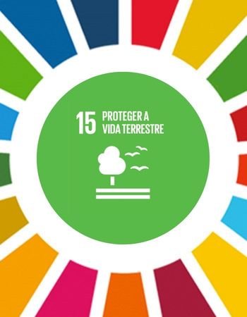 Ícone oficial do ODS 15 da ONU em fundo verde com o número 15 e a frase “Proteger a Vida Terrestre”, ao centro do círculo colorido dos Objetivos de Desenvolvimento Sustentável.