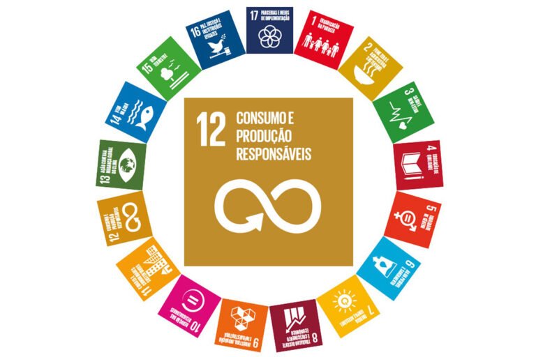 Infográfico circular do ODS 12 sobre consumo e produção sustentáveis com ícones de reciclagem, energia limpa e gestão de resíduos em tons de laranja.