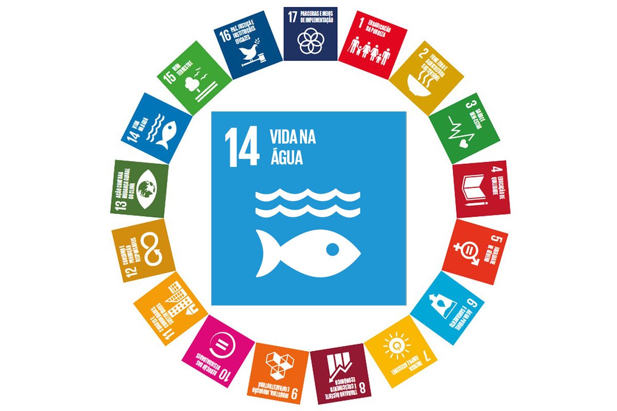 Ícone do Objetivo de Desenvolvimento Sustentável 14 (Vida na Água) da ONU, representado por um peixe branco e ondas sobre fundo azul, cercado pelos 17 ODS.